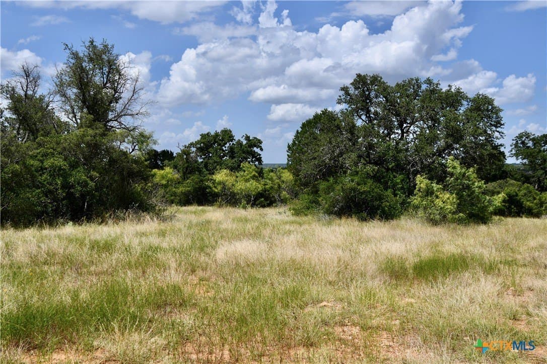 76.6 acres in San Saba County - photo 11