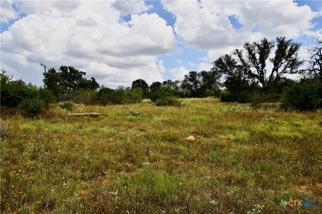 76.6 acres in San Saba County - photo 15