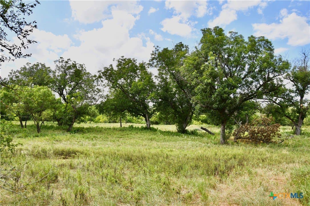 76.6 acres in San Saba County - photo 20