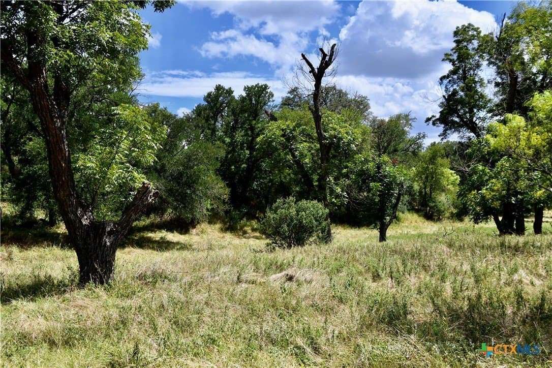 76.6 acres in San Saba County - photo 22