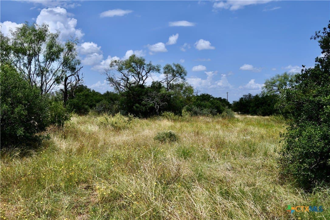 76.6 acres in San Saba County - photo 10