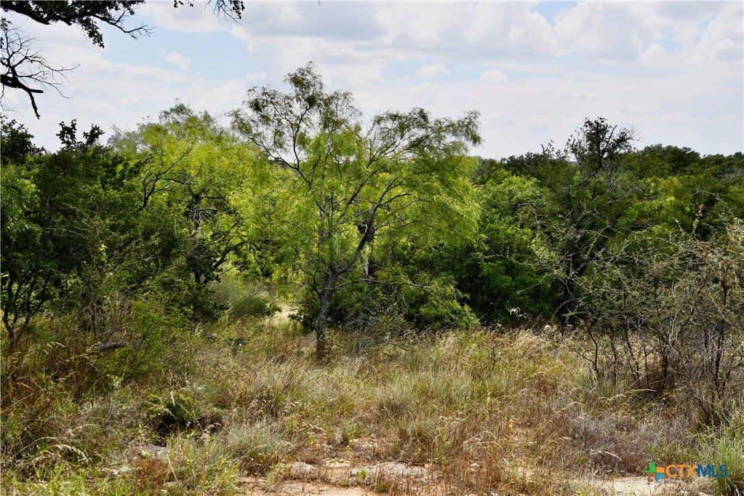76.6 acres in San Saba County - photo 13