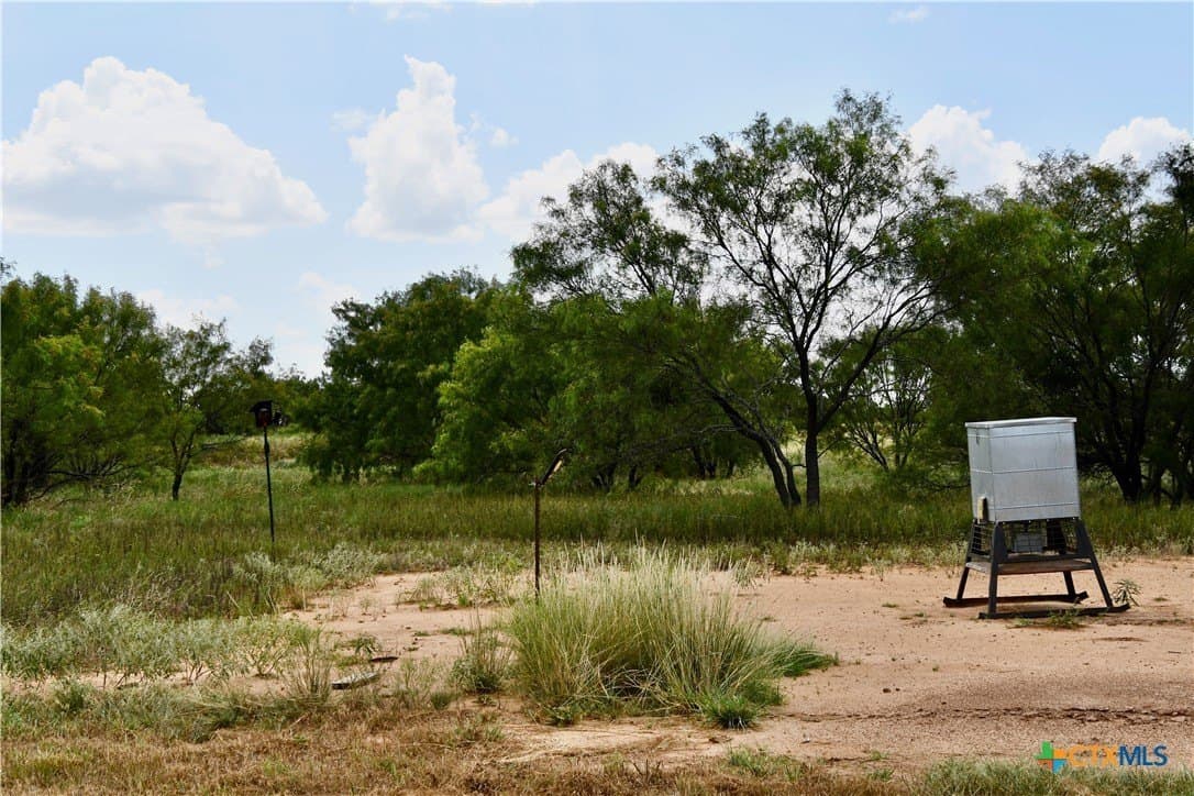 76.6 acres in San Saba County - photo 25