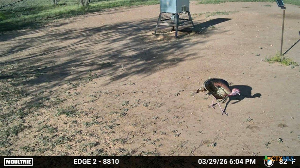76.6 acres in San Saba County - photo 32