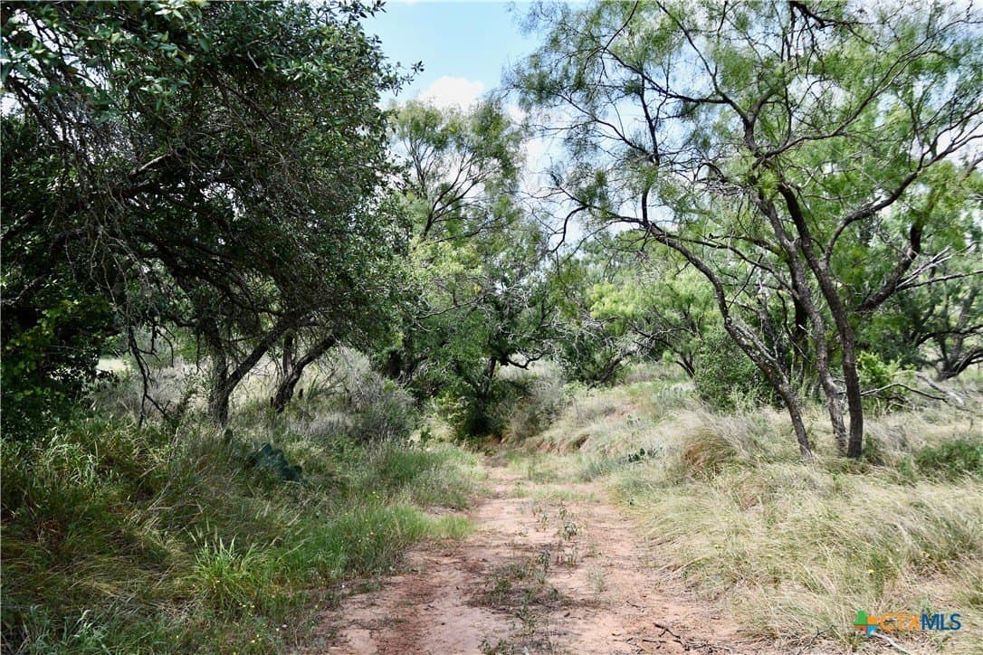 76.6 acres in San Saba County - photo 19