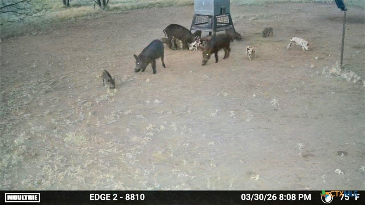 76.6 acres in San Saba County - photo 31