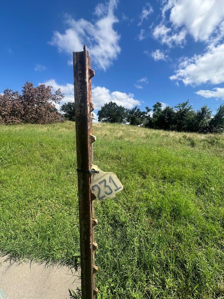 1.01 acres in Henderson County gallery image 4