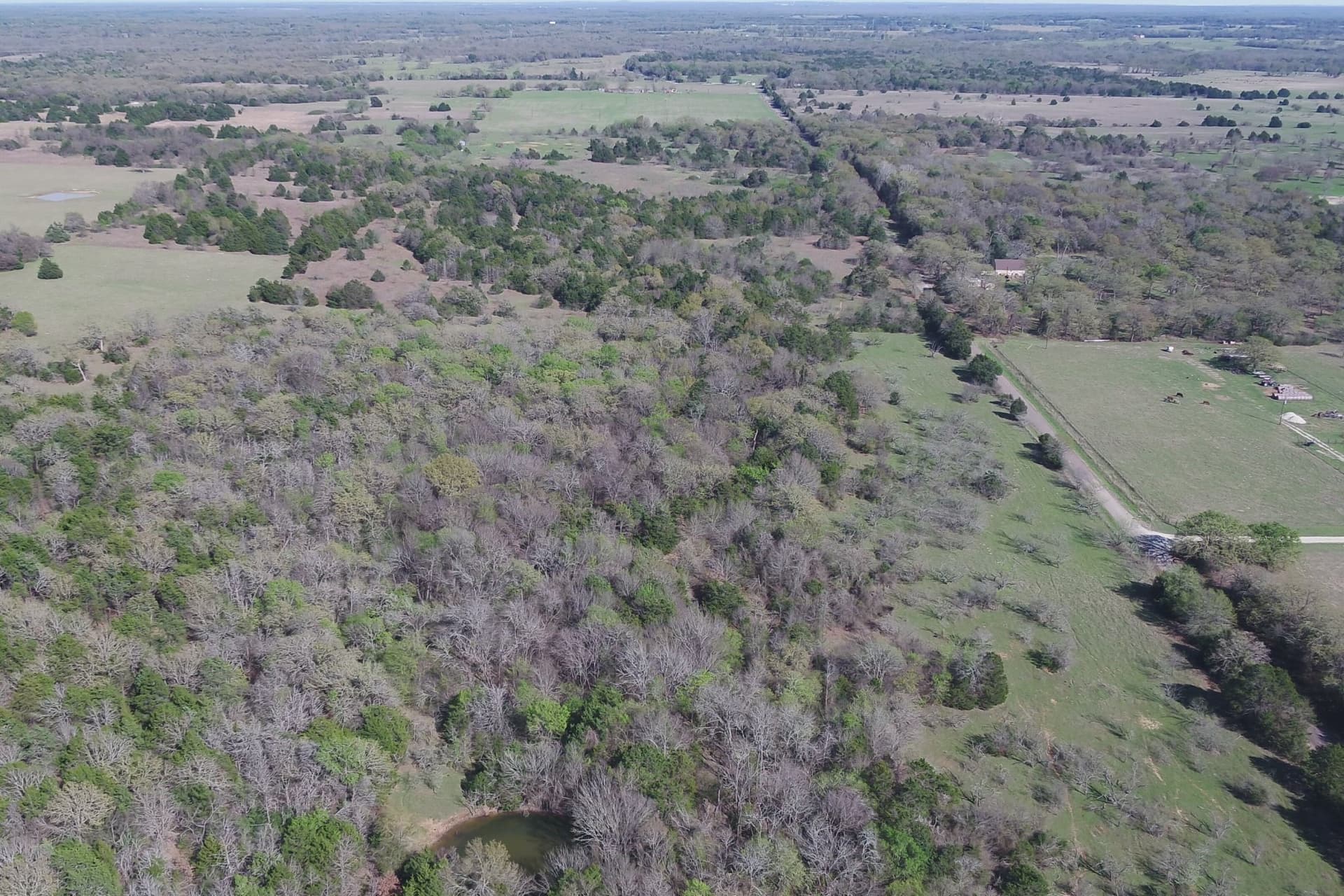 32.74 acres in Freestone County - photo 11