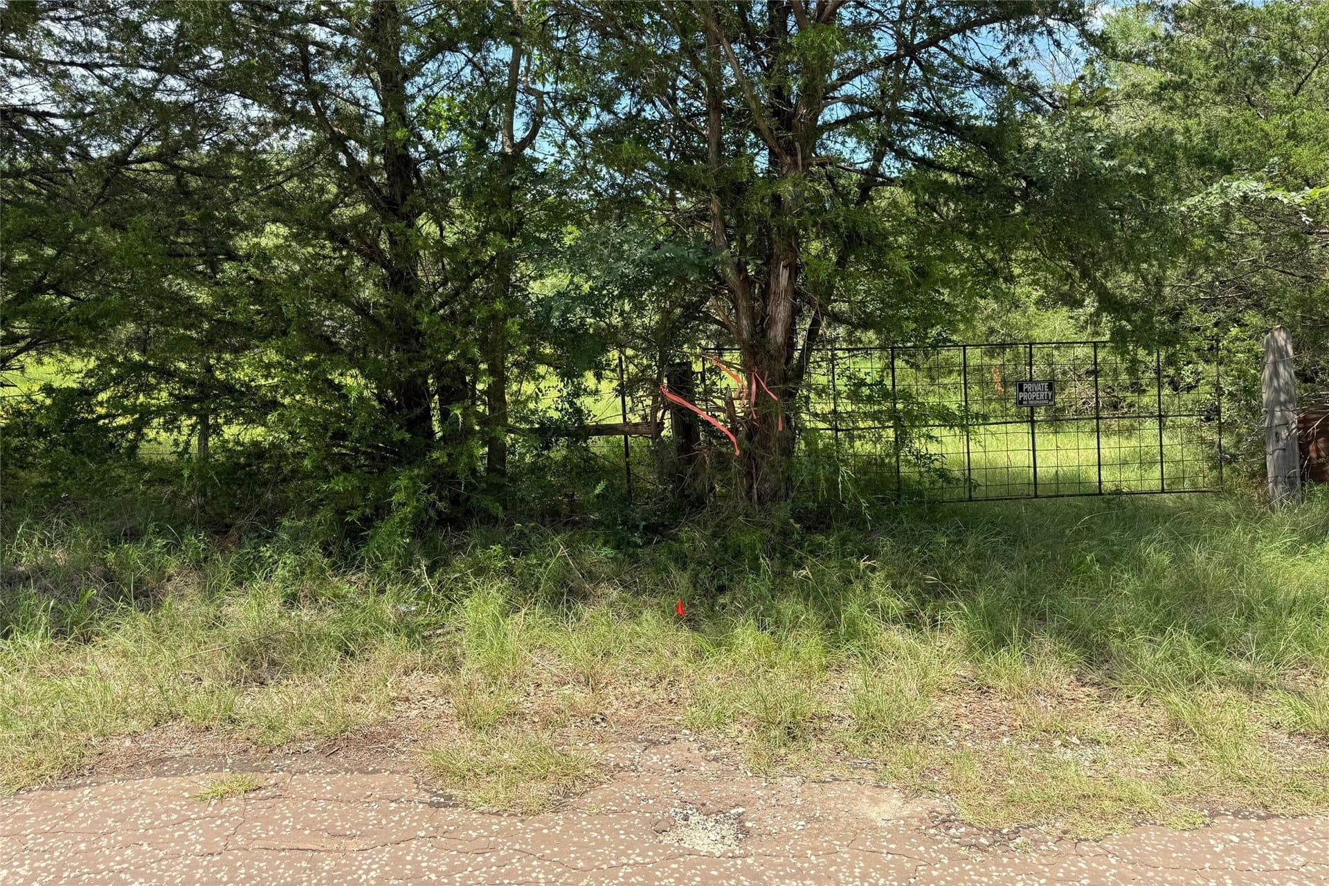 32.74 acres in Freestone County - photo 4