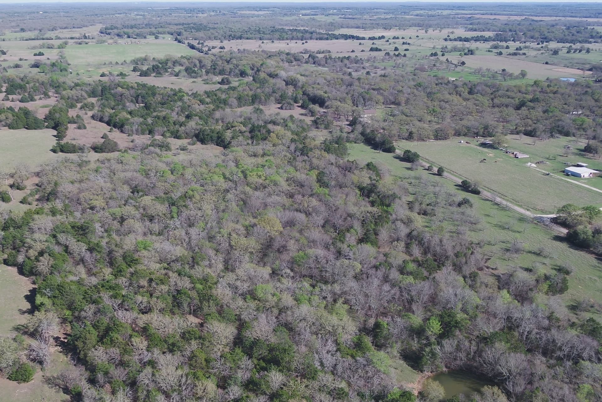 32.74 acres in Freestone County - photo 12
