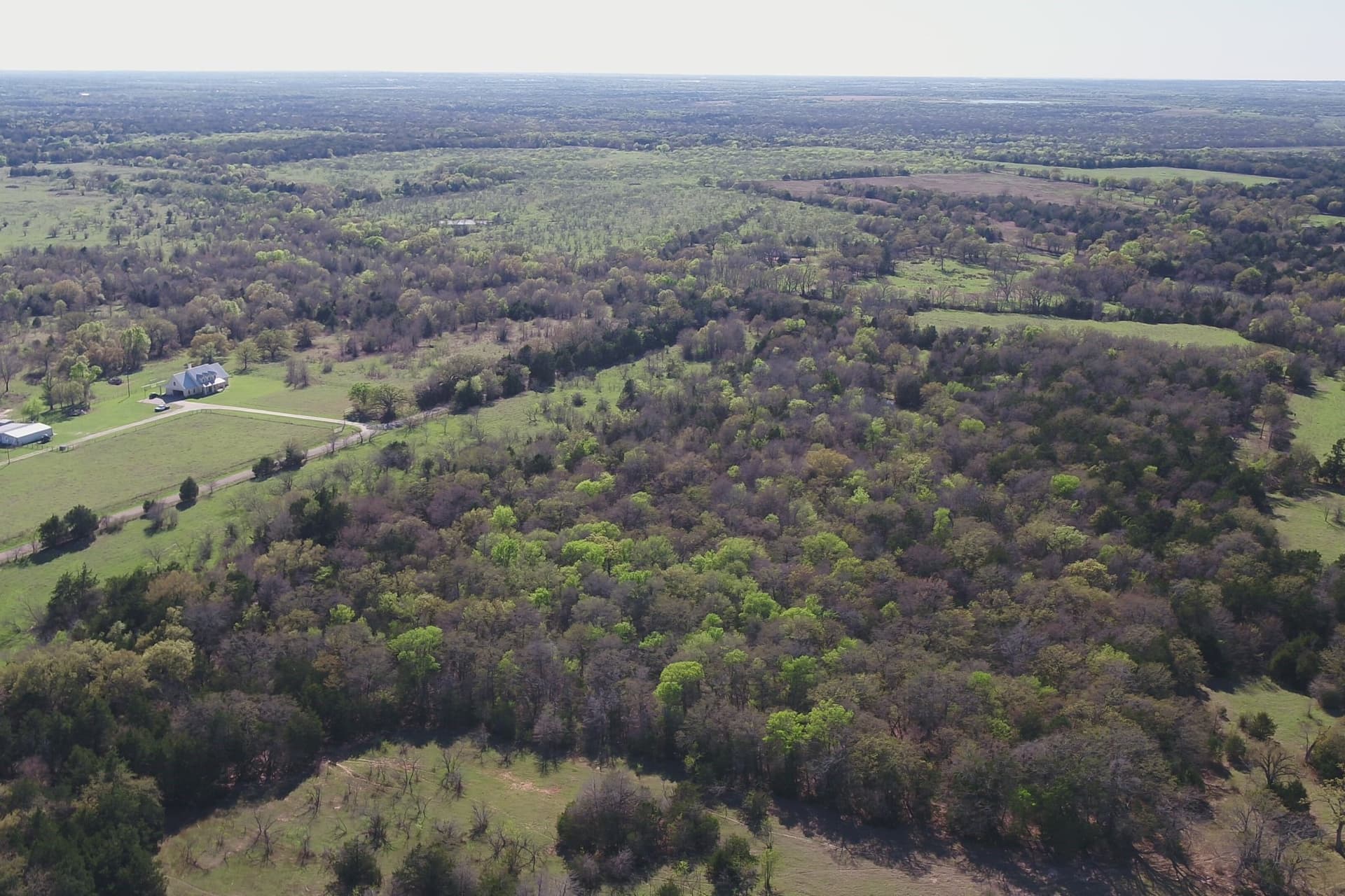 32.74 acres in Freestone County - photo 8
