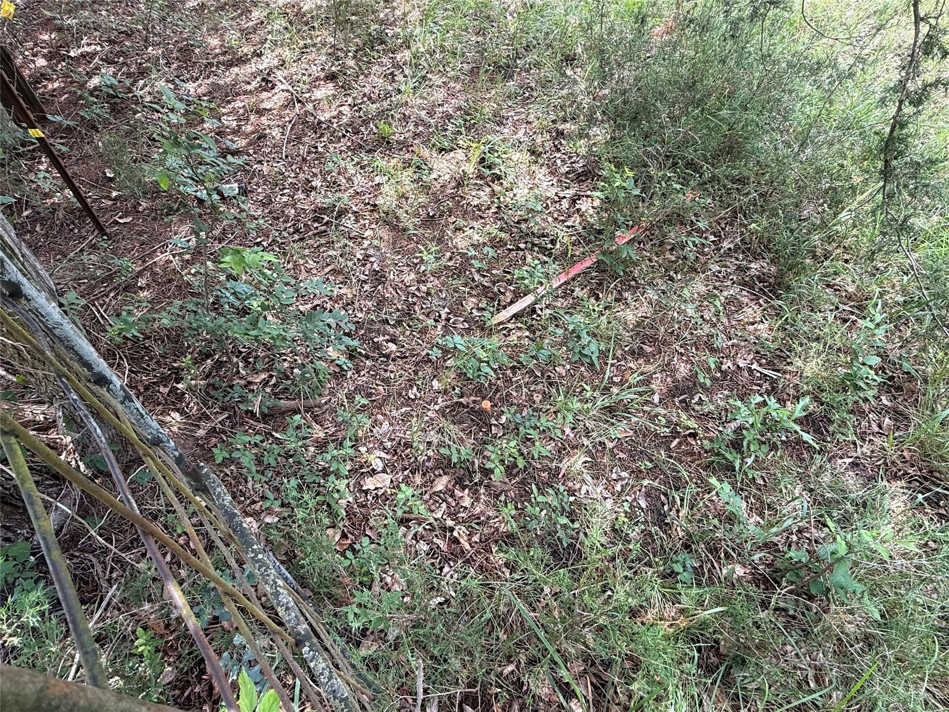 32.74 acres in Freestone County - photo 5