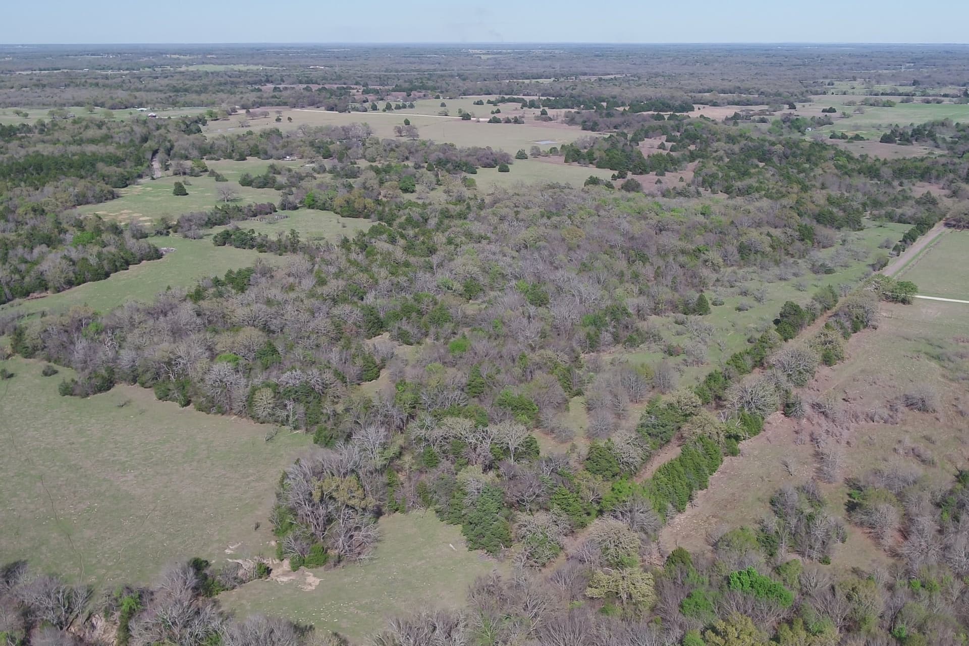 32.74 acres in Freestone County - photo 10