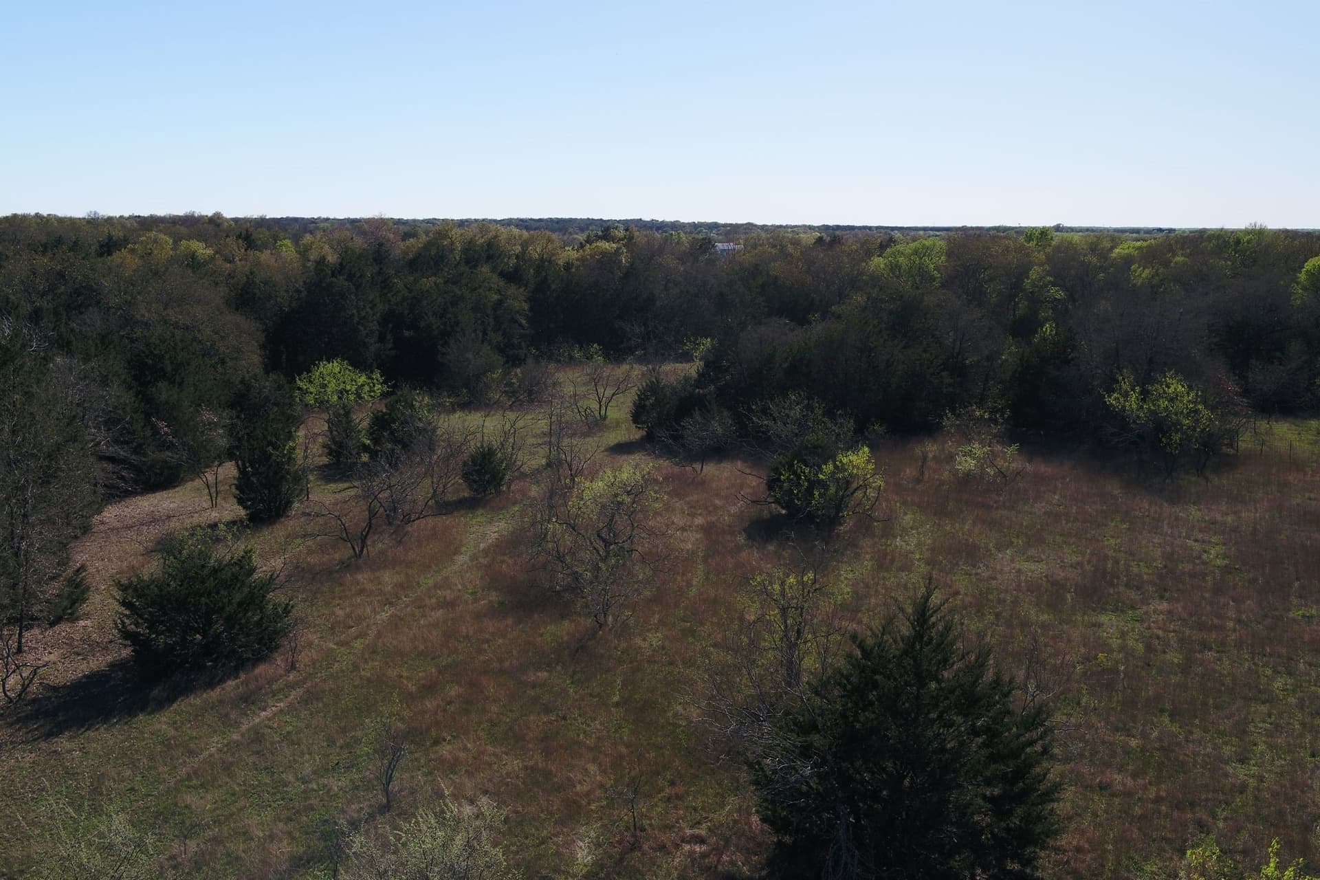 32.74 acres in Freestone County - photo 6