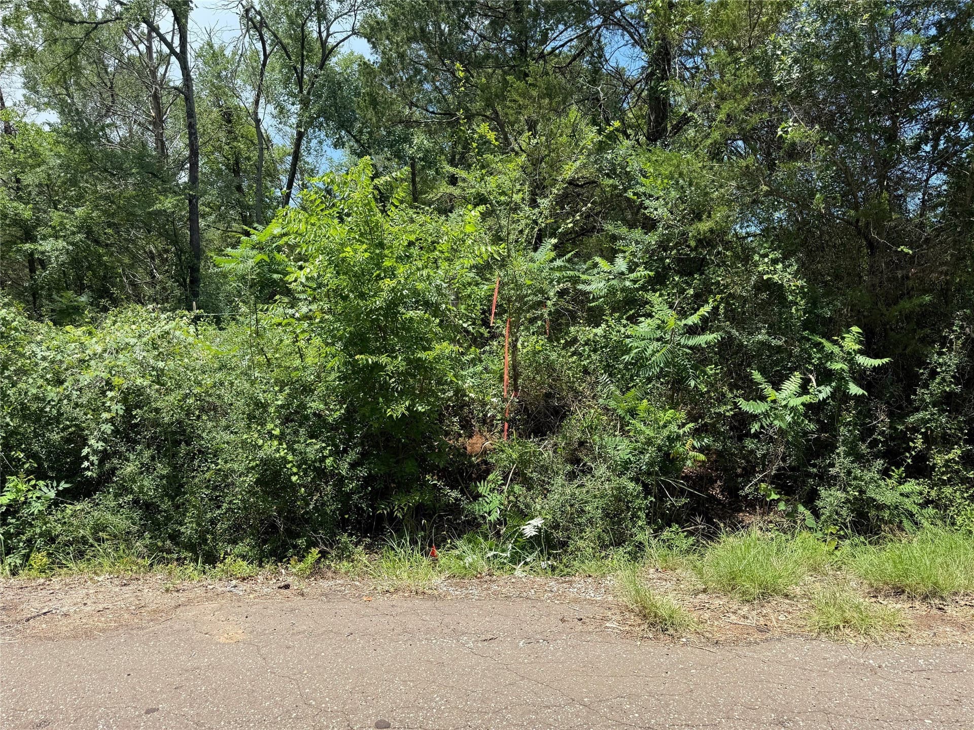 32.74 acres in Freestone County - photo 14