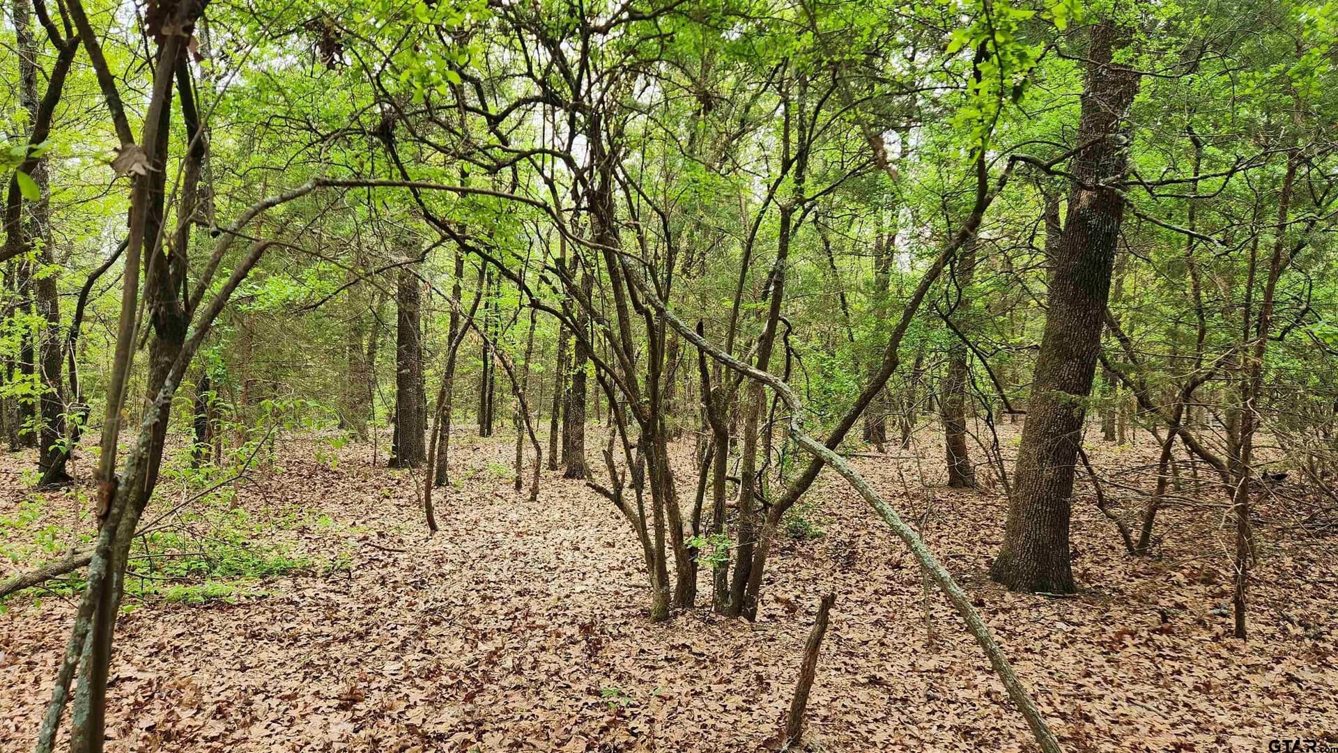 6.16 acres in Franklin County - photo 10