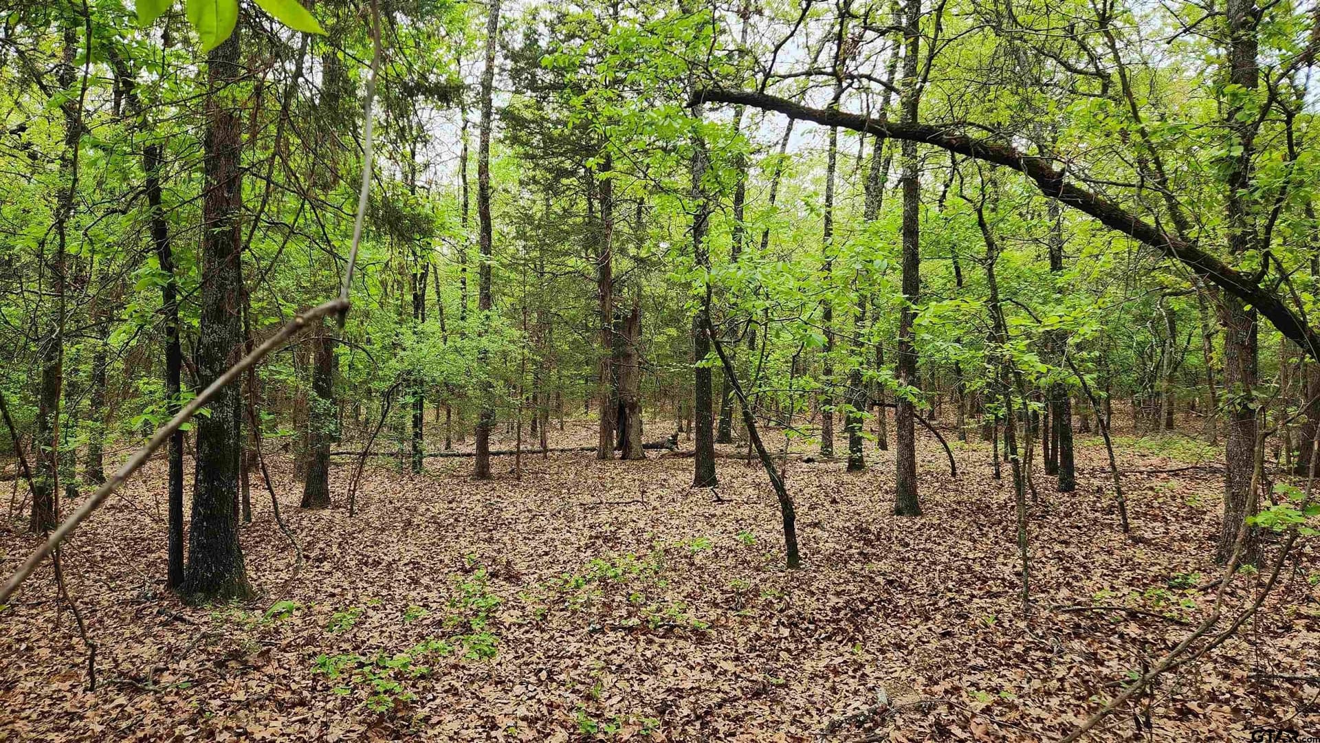 6.16 acres in Franklin County - photo 11