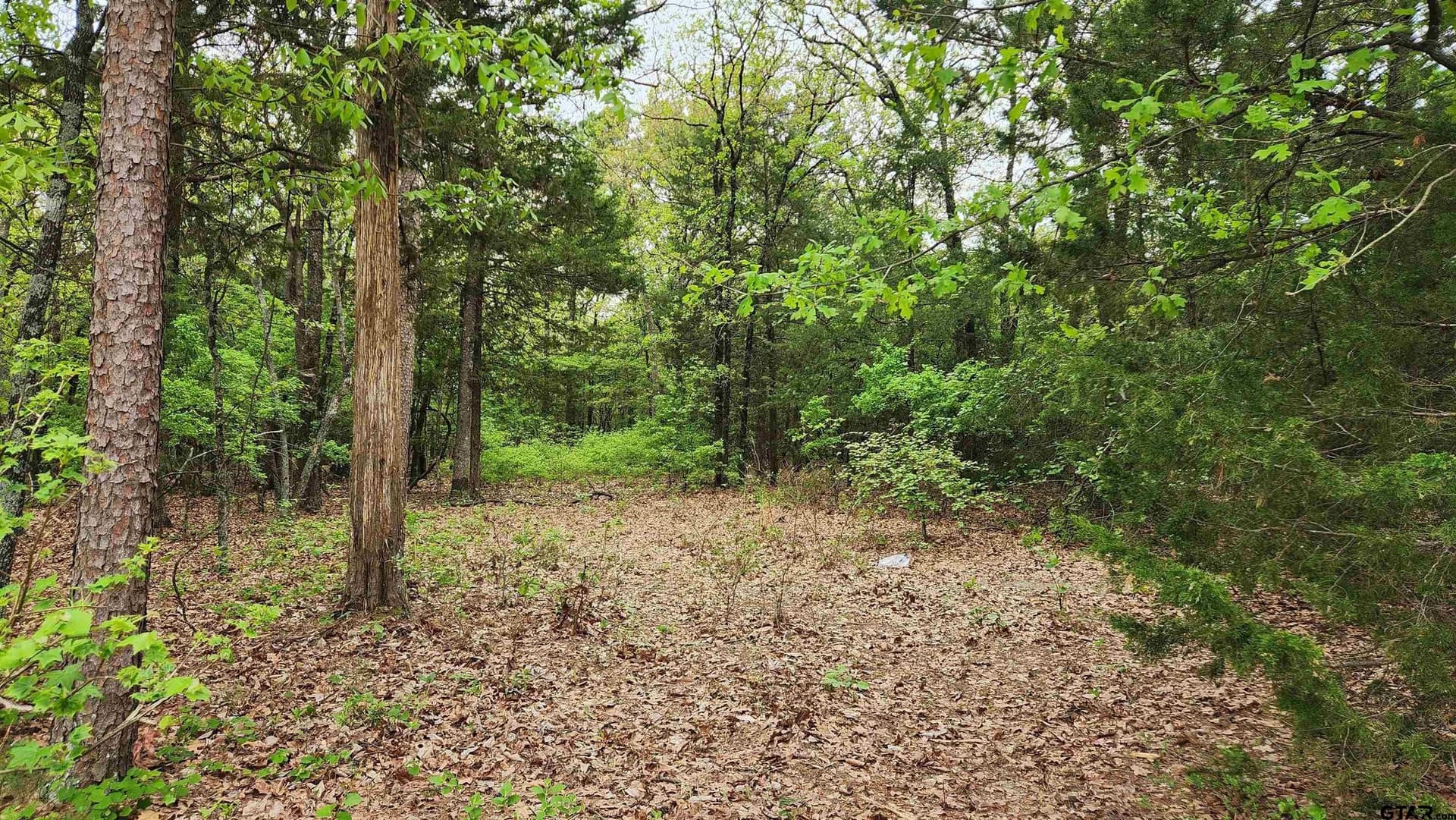 6.16 acres in Franklin County - photo 9
