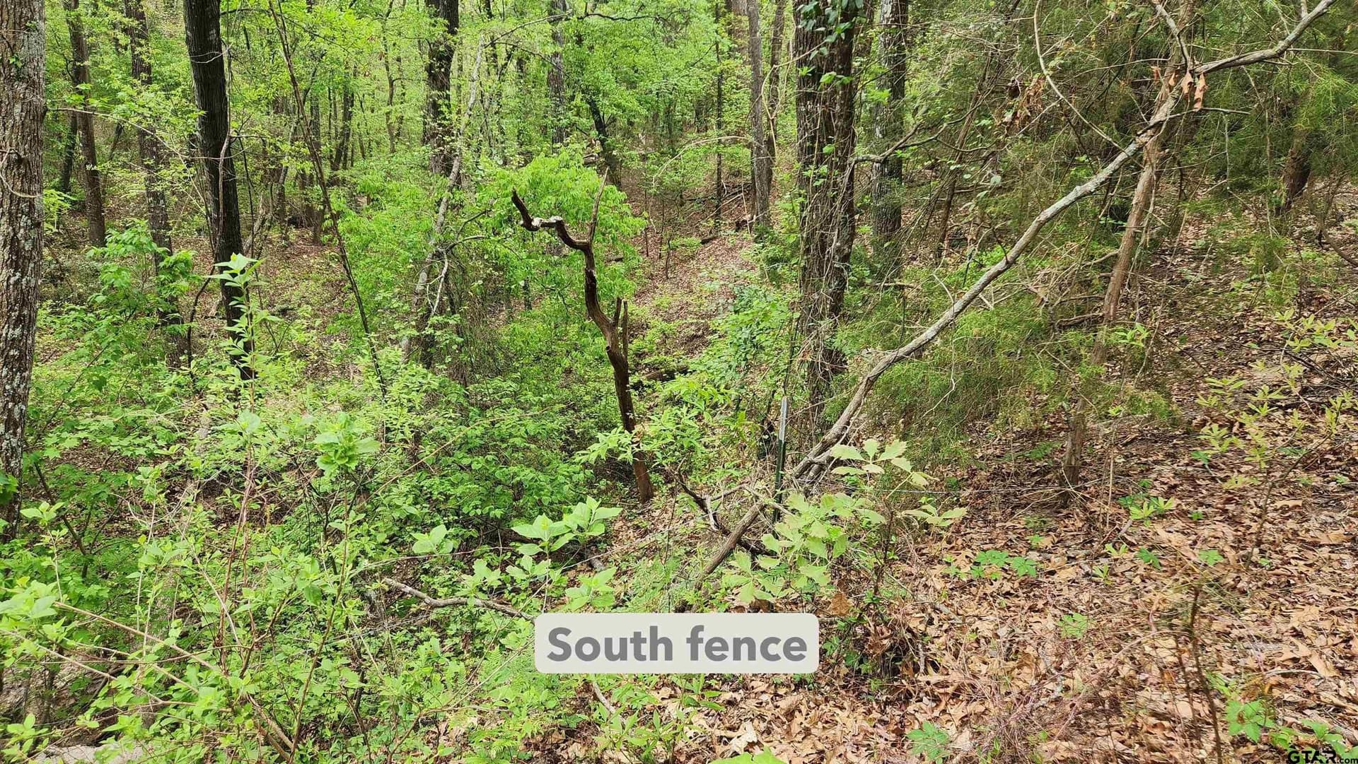6.16 acres in Franklin County - photo 8