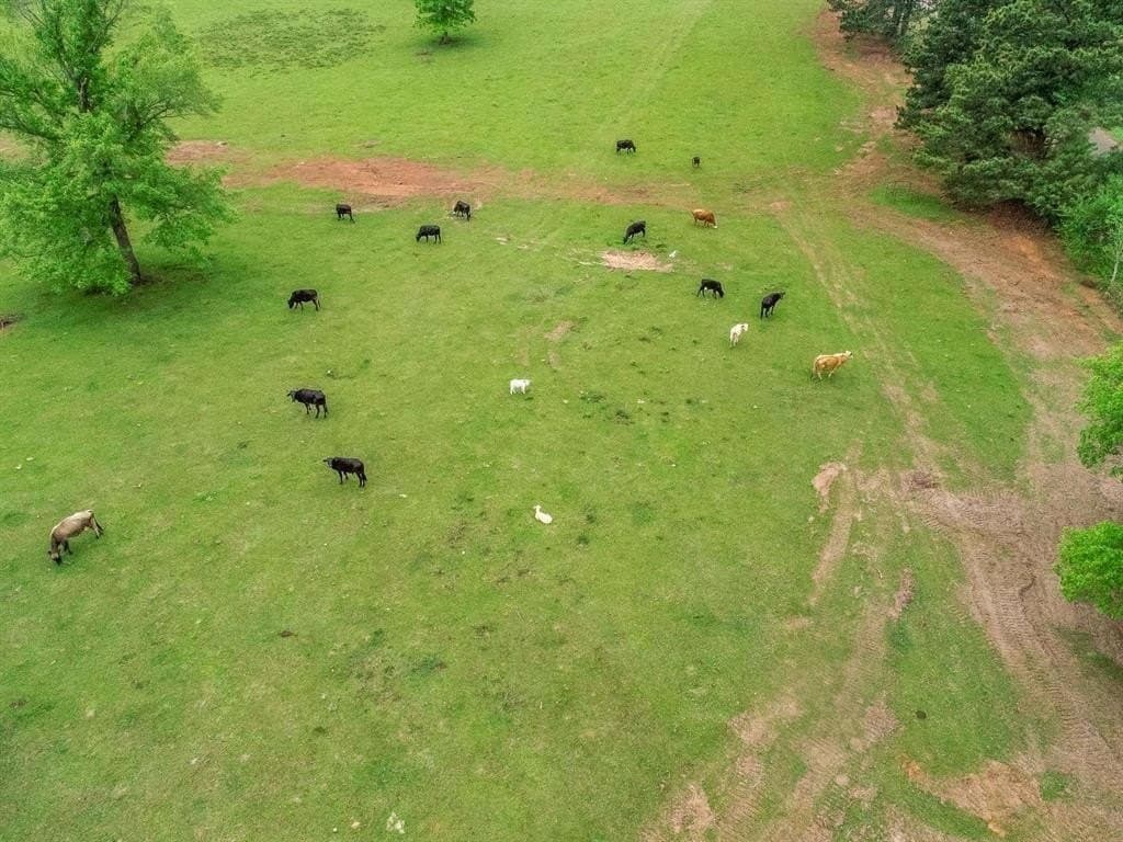 118 acres in Harrison County featured view