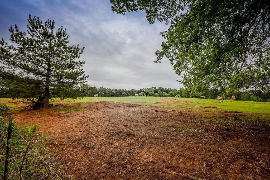 118 acres in Harrison County gallery image 4