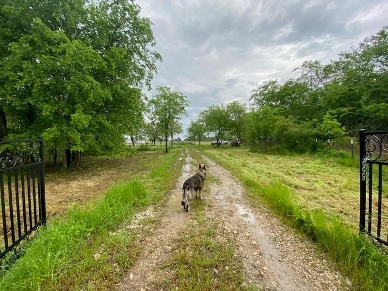 3 acres in Van Zandt County - photo 5