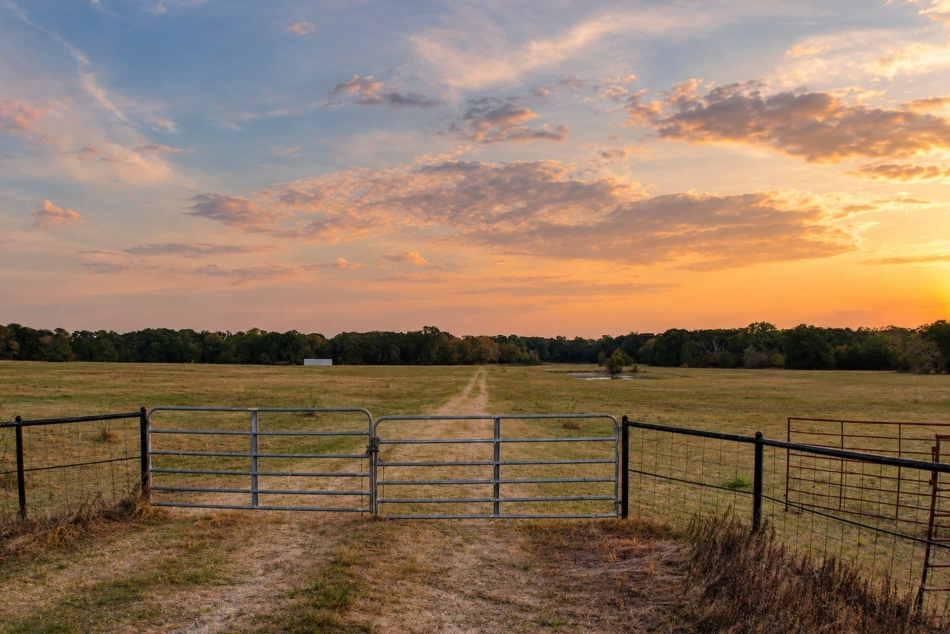 60 acres in Kaufman County - photo 15
