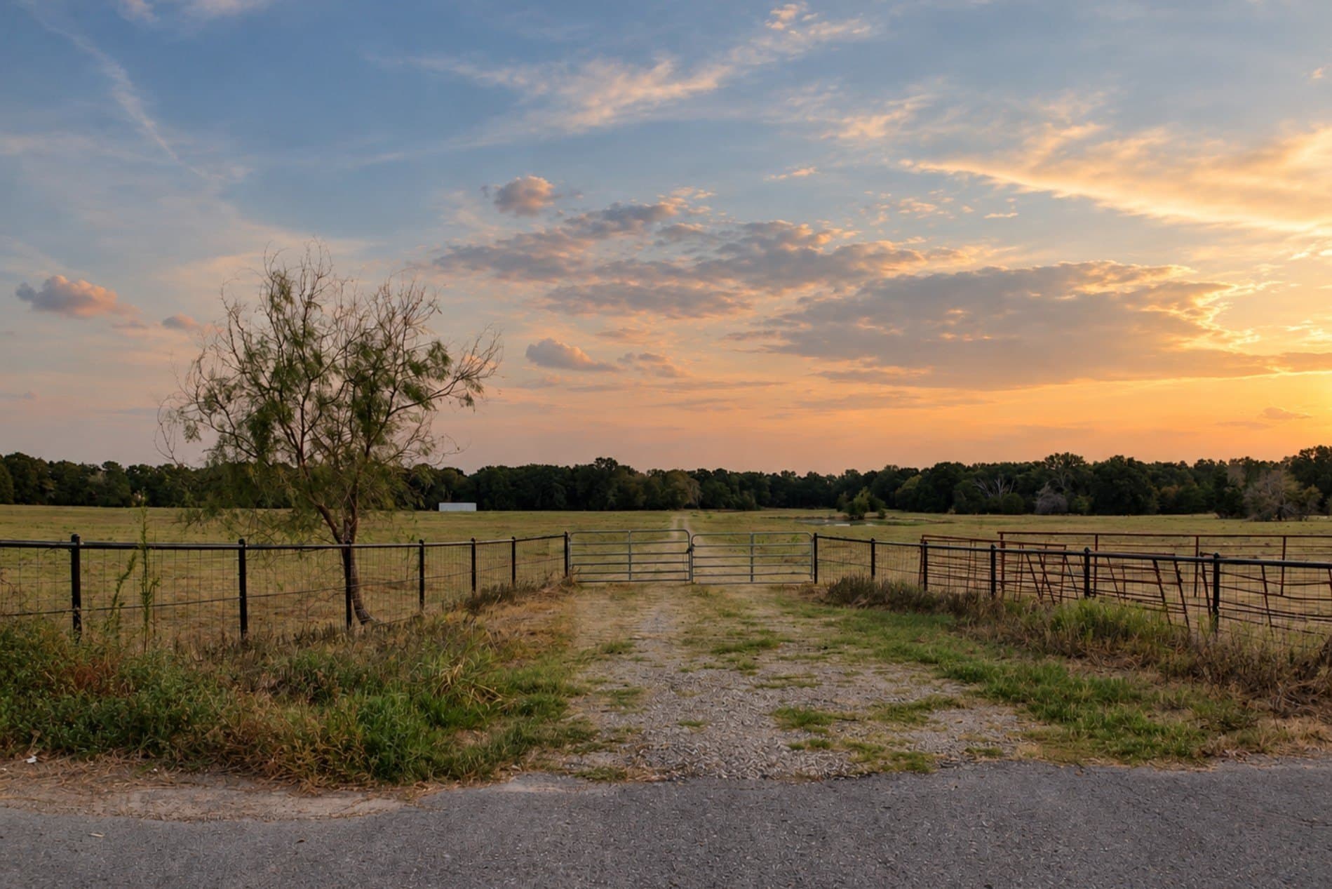 60 acres in Kaufman County - photo 16