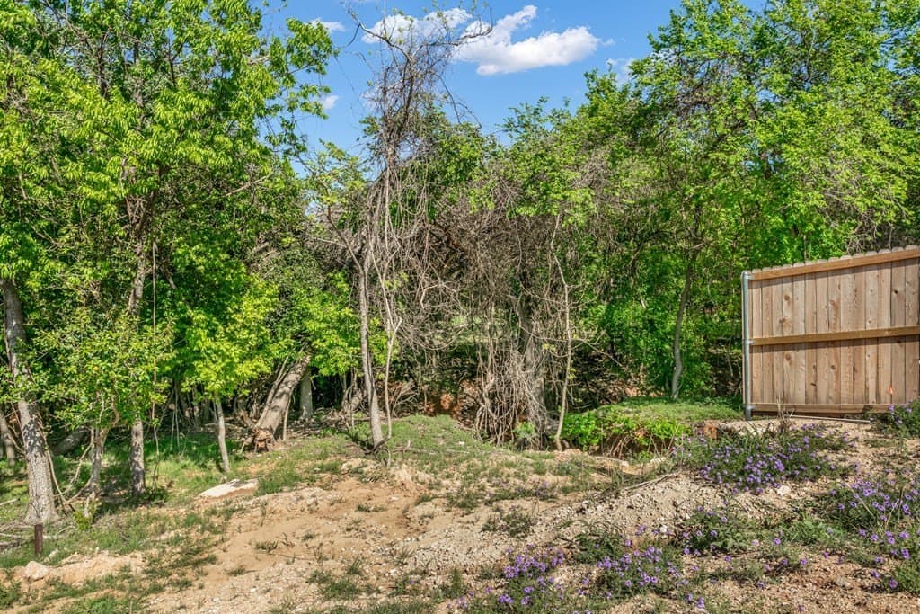 0.25 acres in Gillespie County gallery image 4