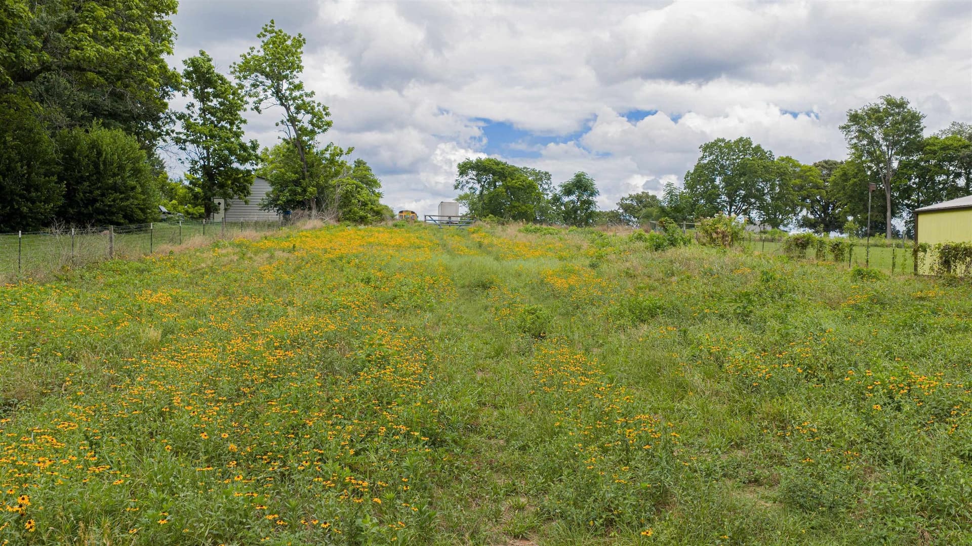 19.51 acres in Texas County - photo 17