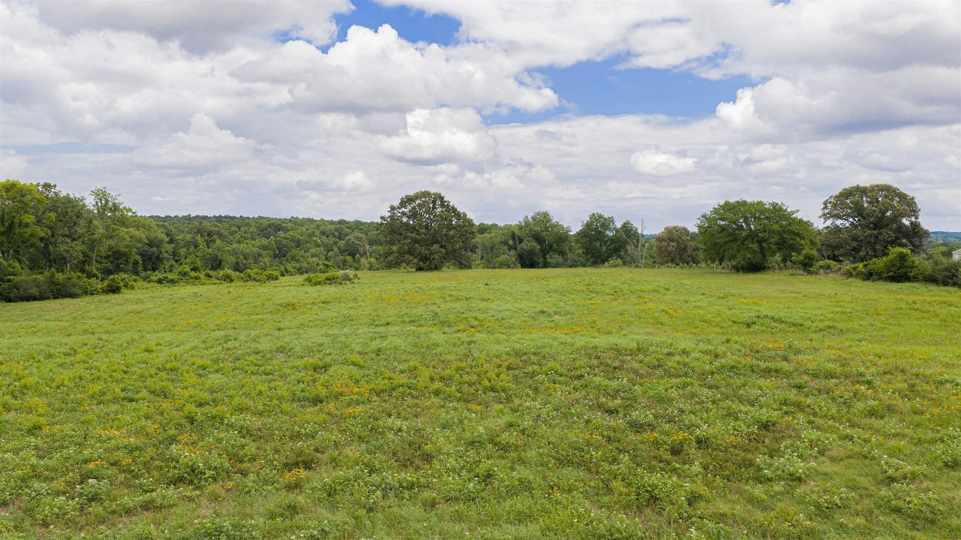 19.51 acres in Texas County - photo 13