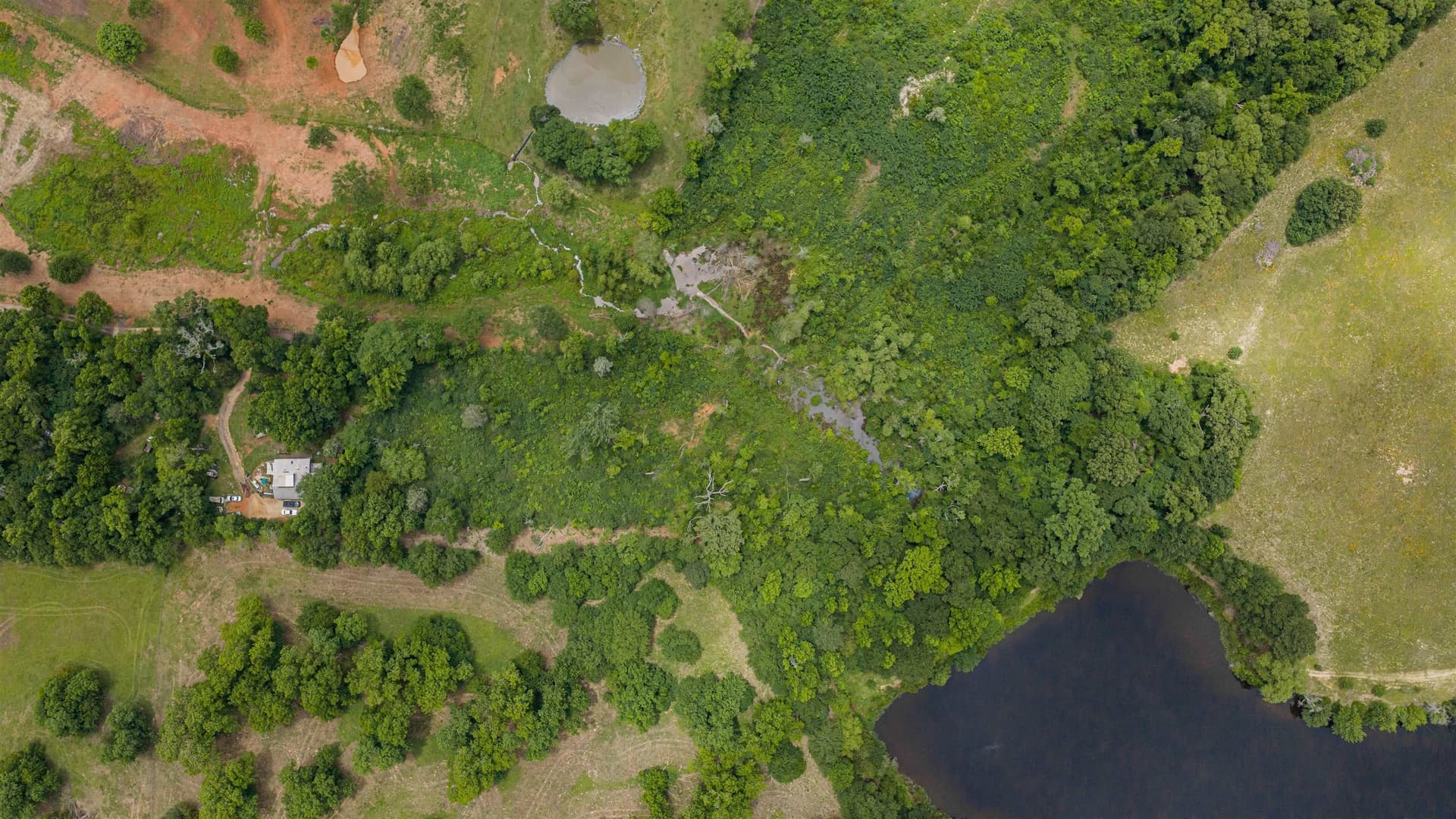 19.51 acres in Texas County gallery image 3