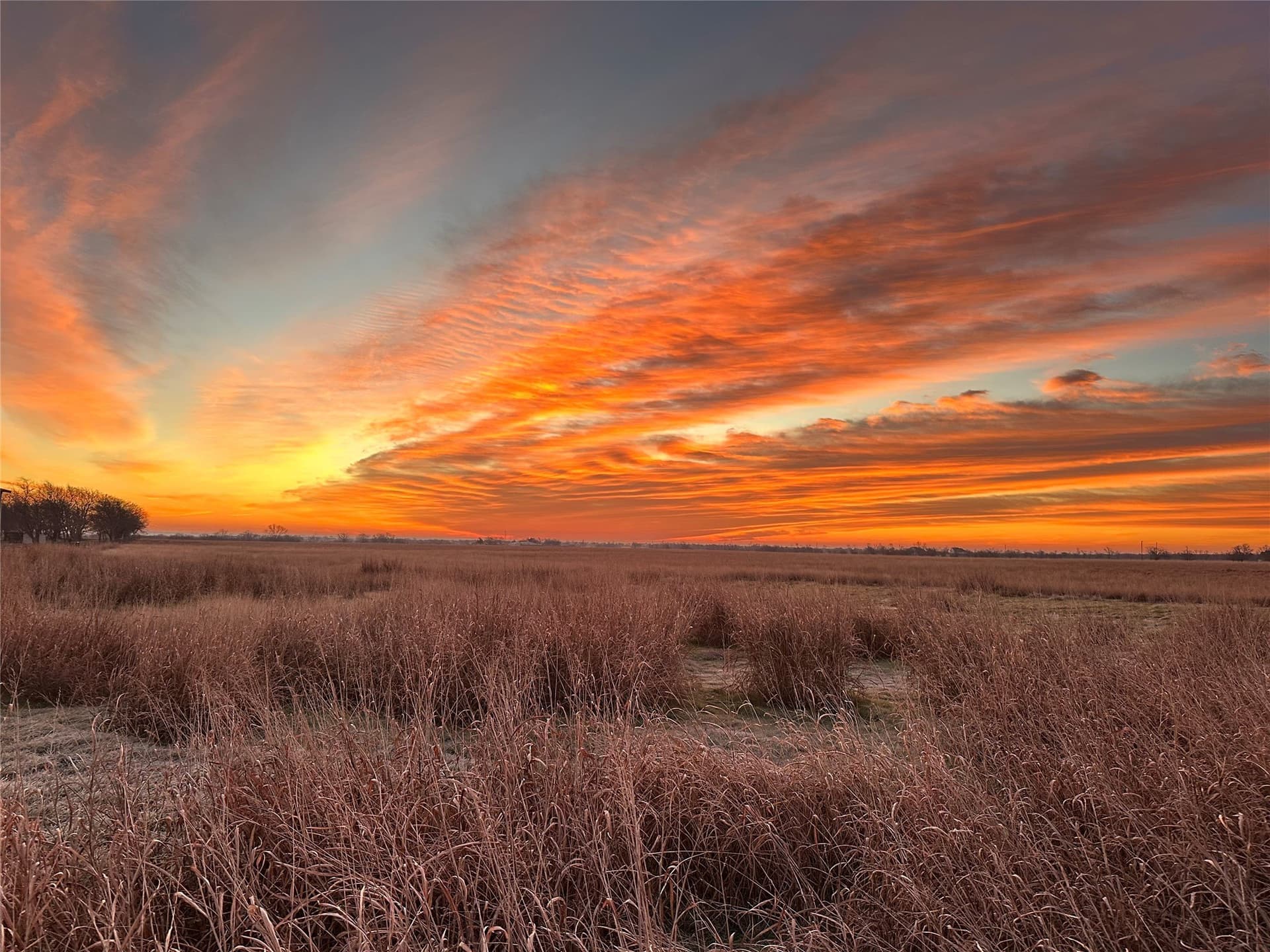 10 acres in Cooke County gallery image 2
