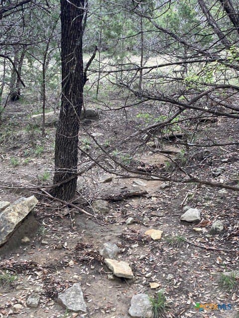 100 acres in Coryell County - photo 6