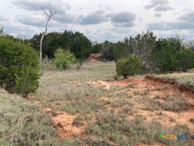 100 acres in Coryell County - photo 8