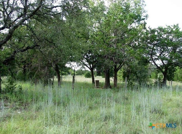 100 acres in Coryell County - photo 11