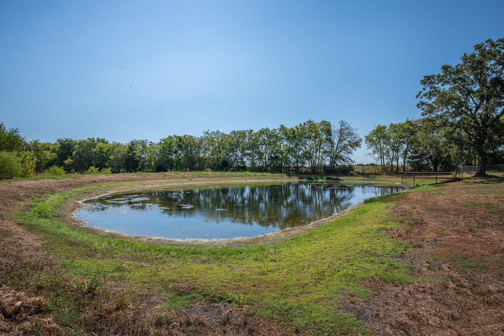 12.54 acres in Fannin County - photo 6