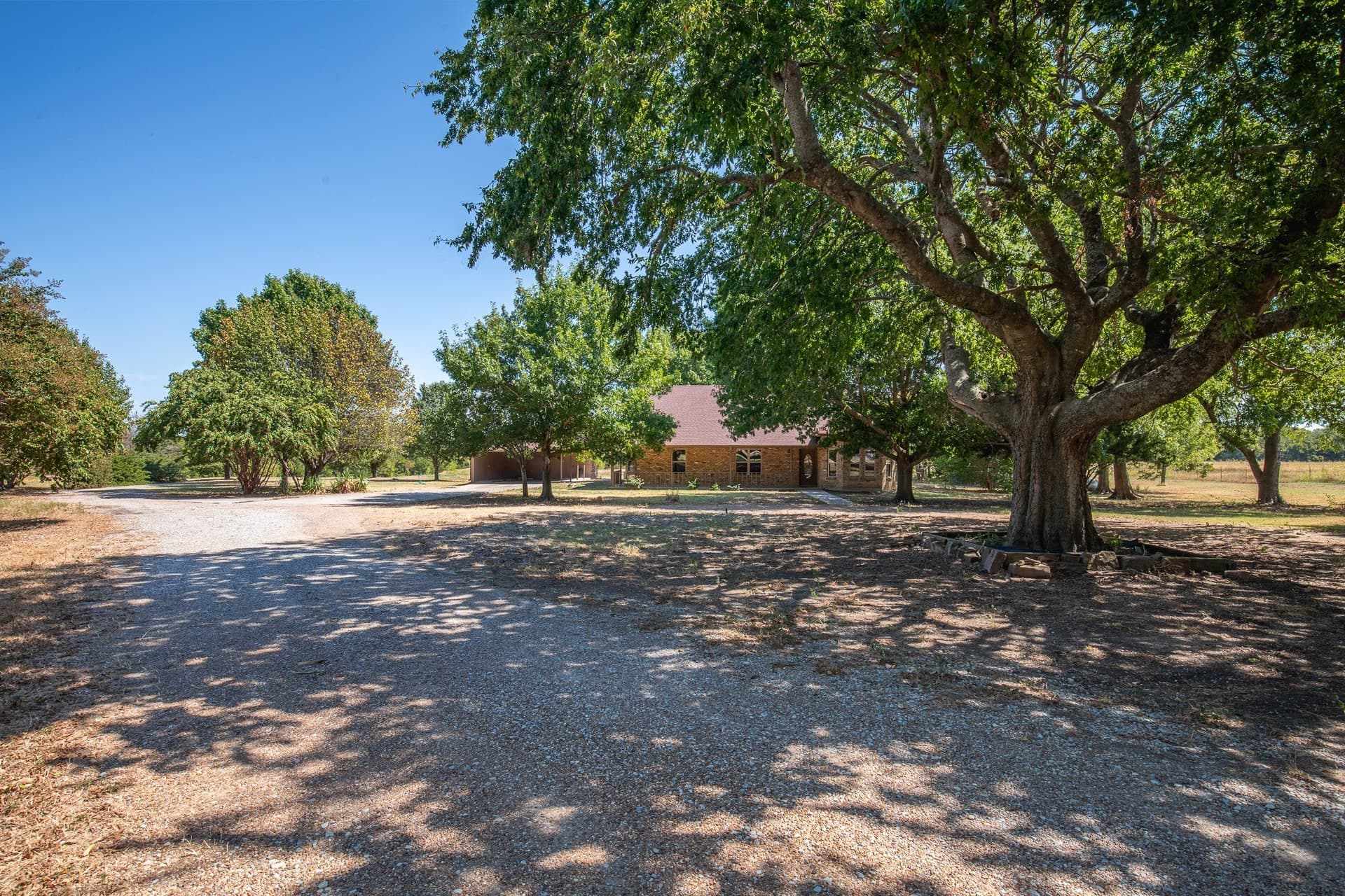 12.54 acres in Fannin County - photo 3