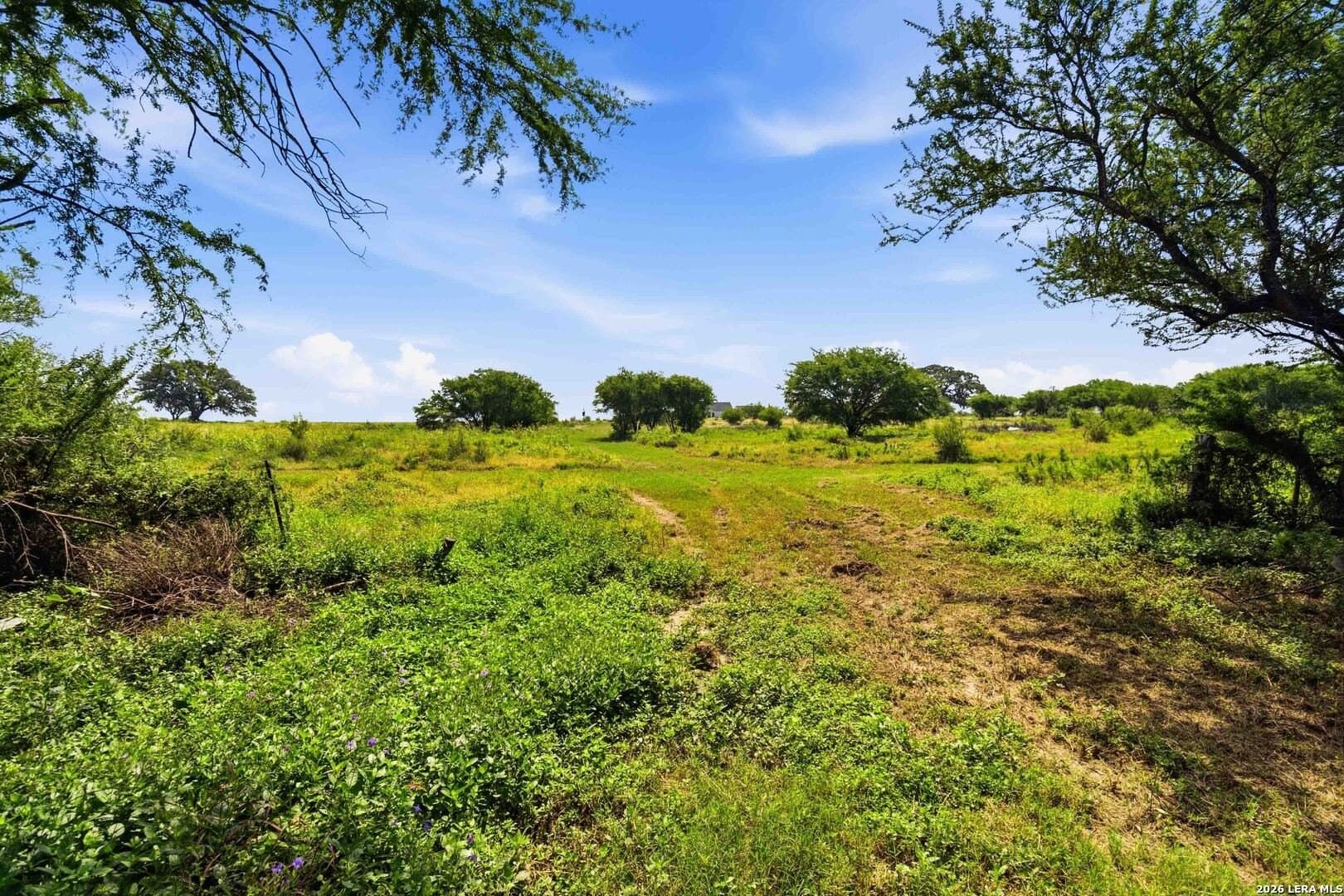 28.71 acres in Uvalde County - photo 86