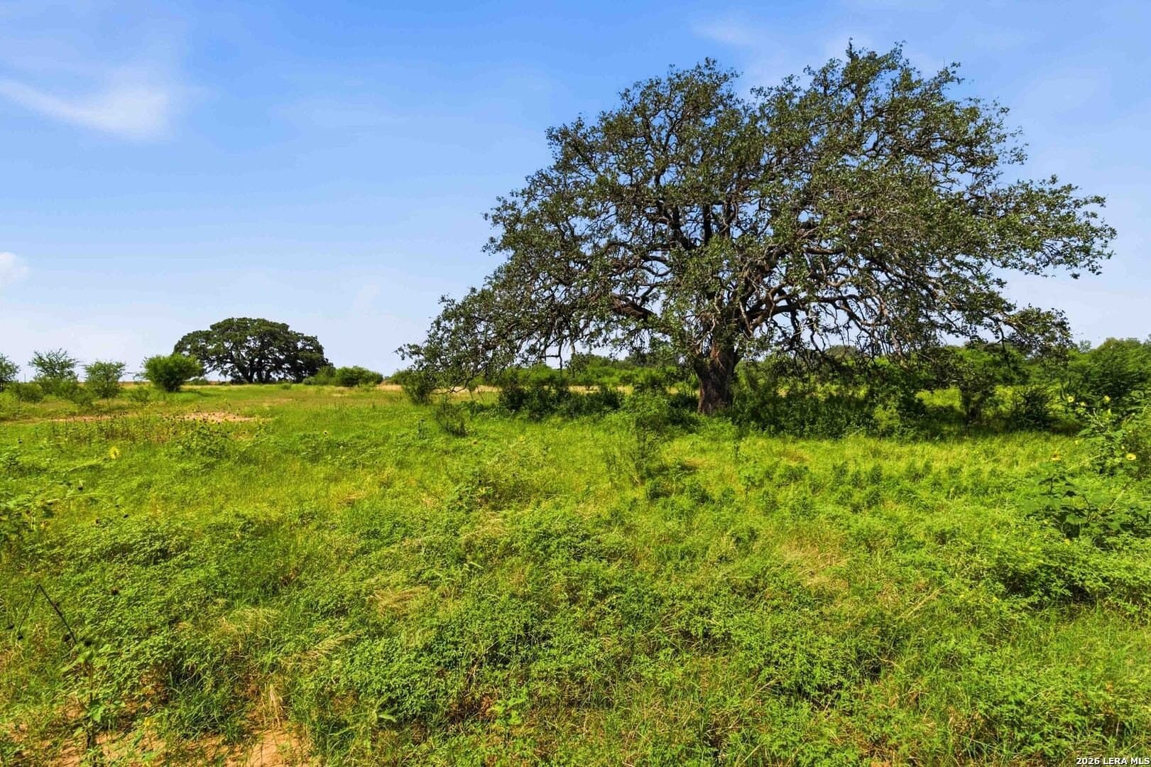 28.71 acres in Uvalde County - photo 84