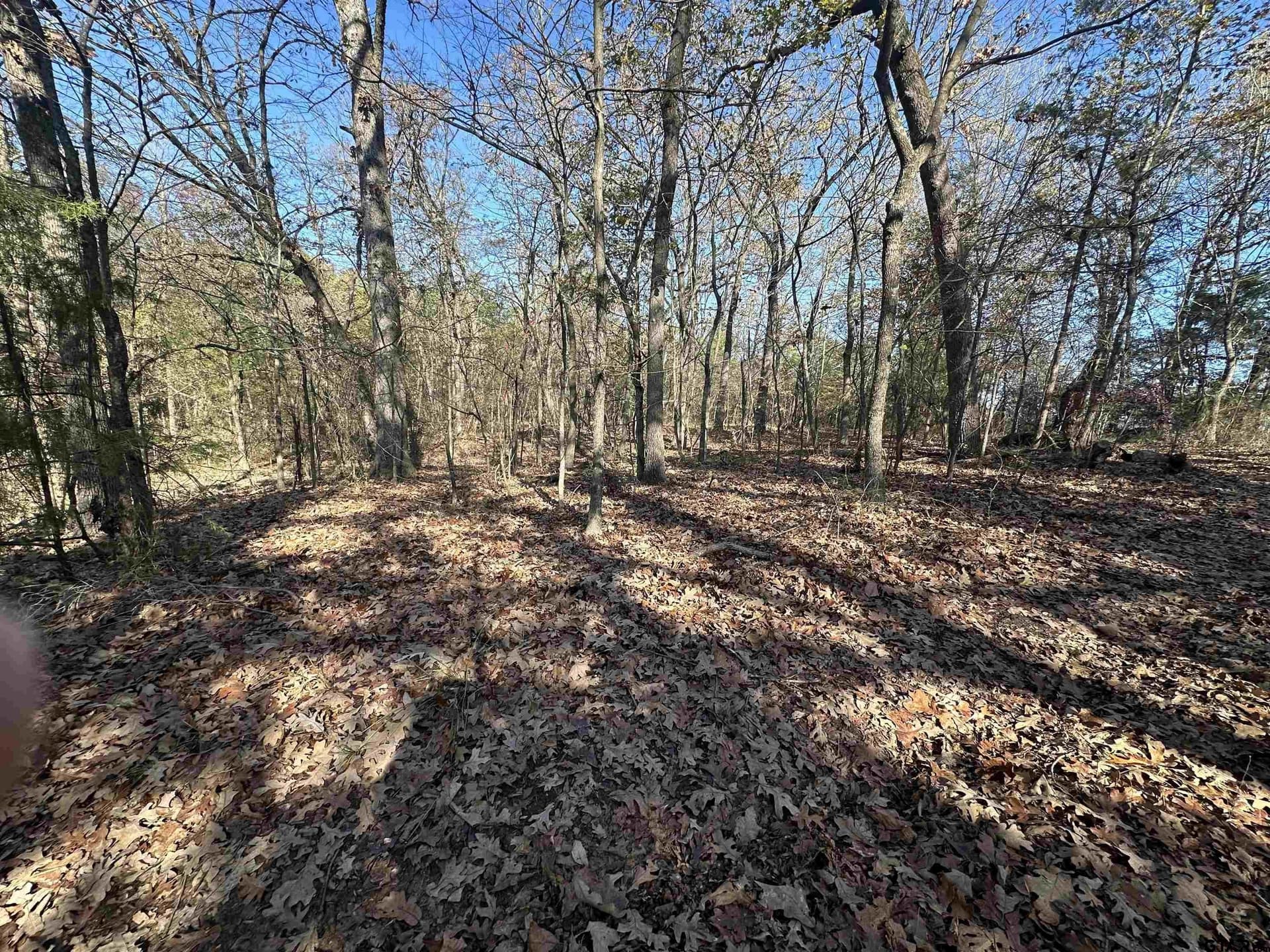 1.1 acres in Camp County gallery image 3