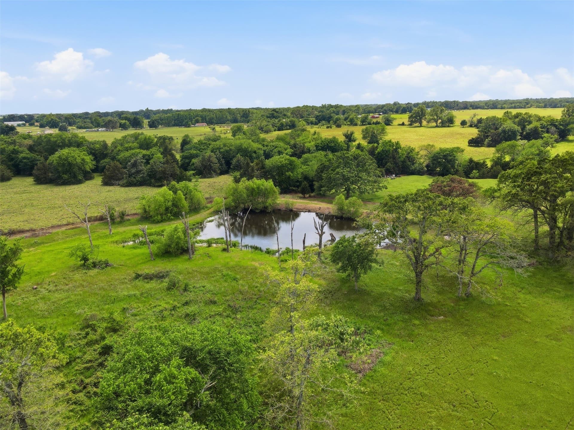 35.79 acres in Hopkins County - photo 36