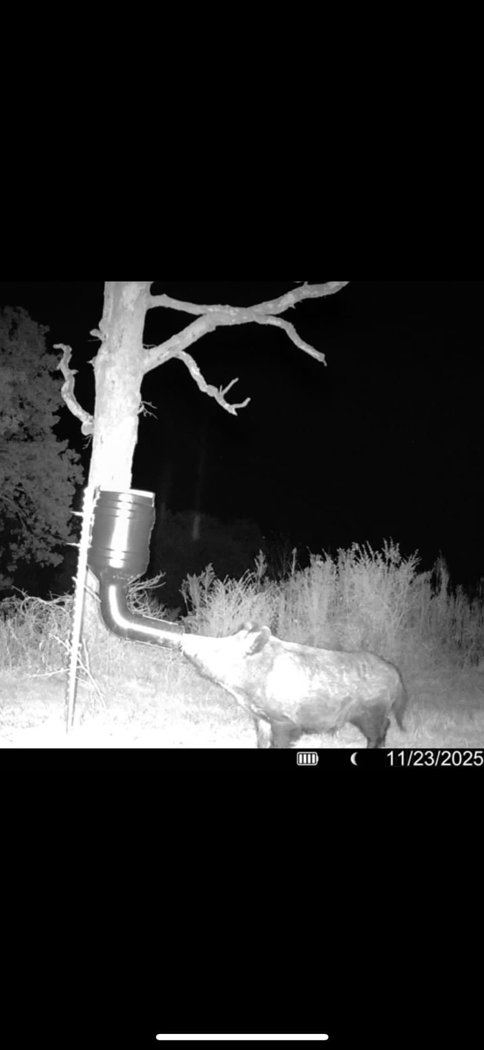 35.79 acres in Hopkins County - photo 39