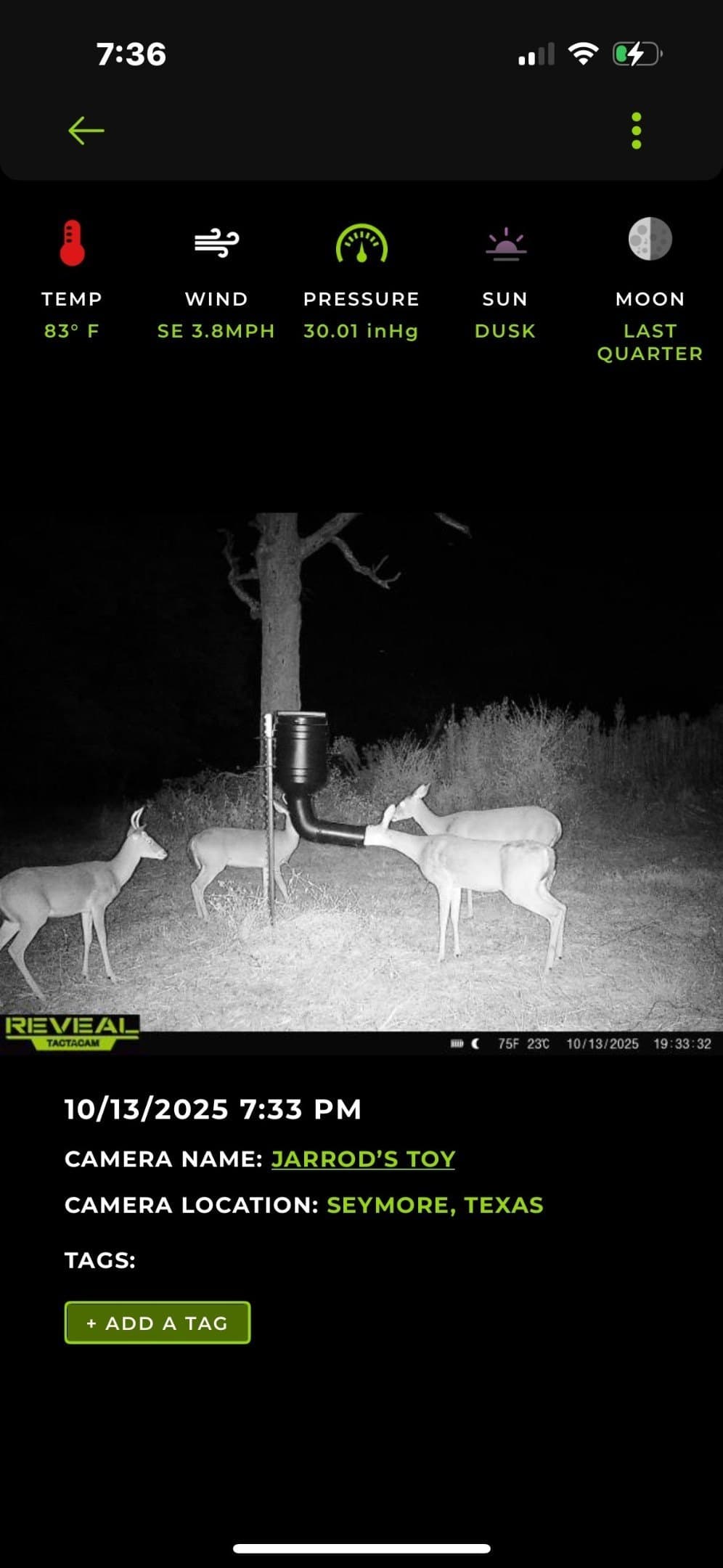 35.79 acres in Hopkins County - photo 40