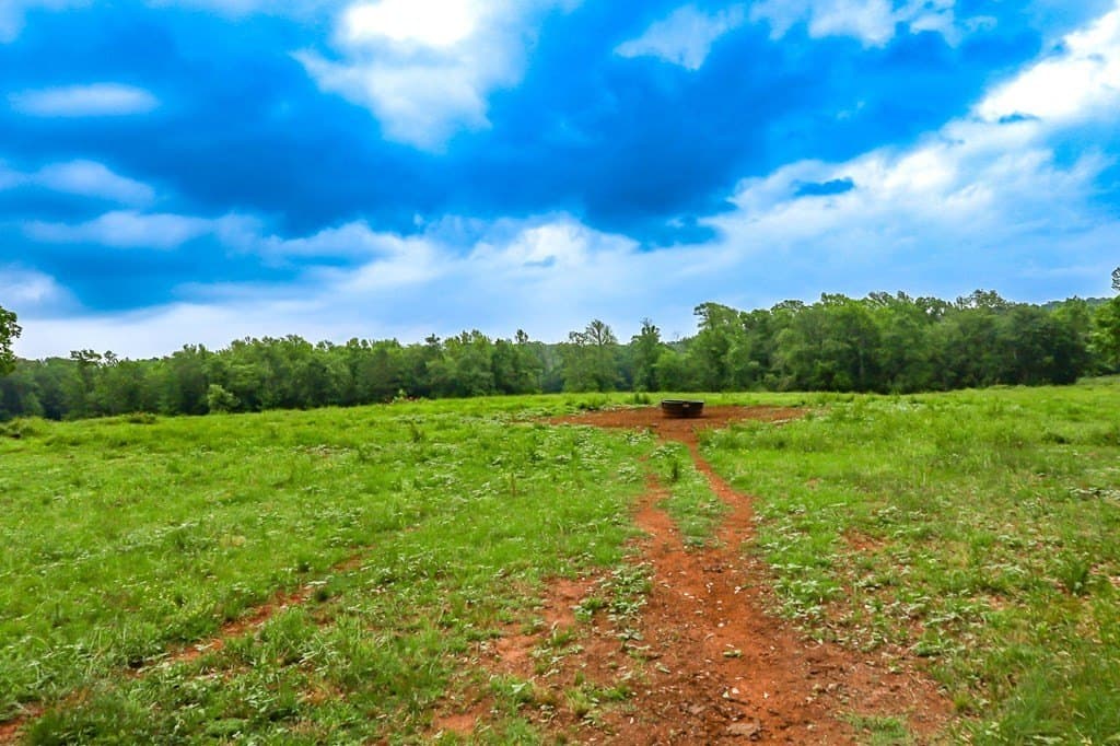 302 acres in Texas County featured view