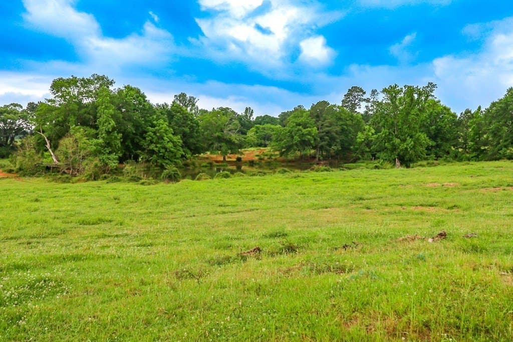 302 acres in Texas County gallery image 3
