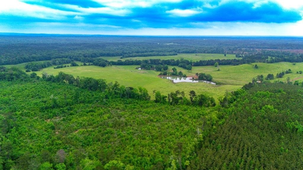 302 acres in Texas County