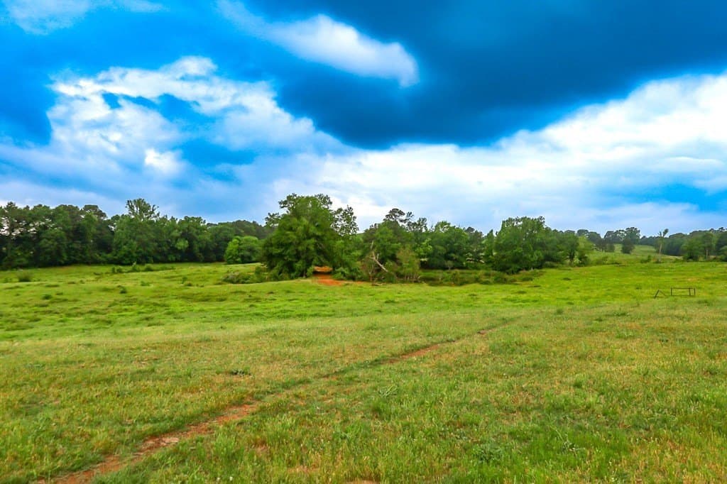 302 acres in Texas County gallery image 4