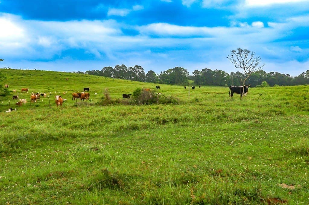 302 acres in Texas County gallery image 2