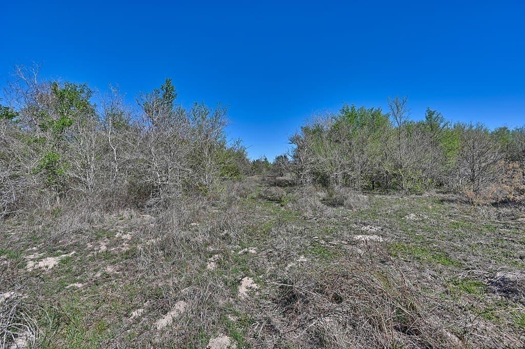 107 acres in Fayette County - photo 15